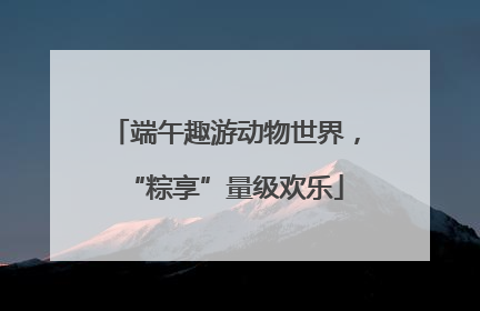端午趣游动物世界，“粽享”量级欢乐