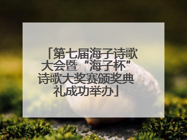 第七届海子诗歌大会暨“海子杯”诗歌大奖赛颁奖典礼成功举办