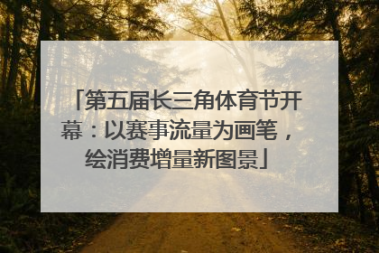 第五届长三角体育节开幕：以赛事流量为画笔，绘消费增量新图景