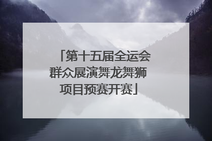 第十五届全运会群众展演舞龙舞狮项目预赛开赛