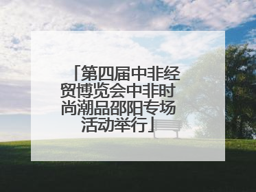第四届中非经贸博览会中非时尚潮品邵阳专场活动举行