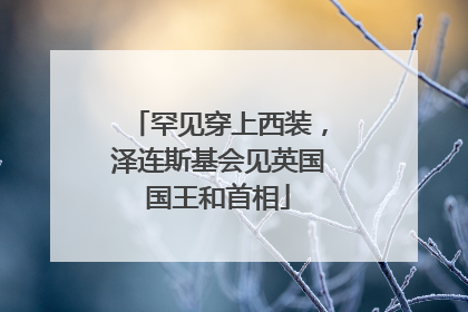 罕见穿上西装，泽连斯基会见英国国王和首相