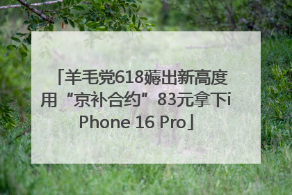 羊毛党618薅出新高度 用“京补合约”83元拿下iPhone 16 Pro