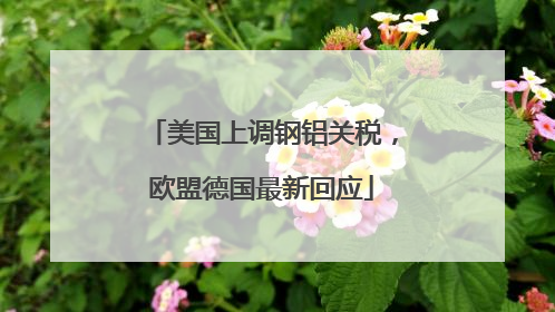 美国上调钢铝关税，欧盟德国最新回应