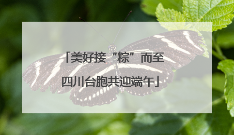 美好接“粽”而至 四川台胞共迎端午