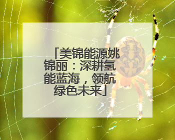 美锦能源姚锦丽：深耕氢能蓝海，领航绿色未来