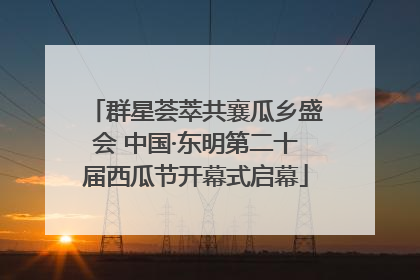 群星荟萃共襄瓜乡盛会 中国·东明第二十届西瓜节开幕式启幕