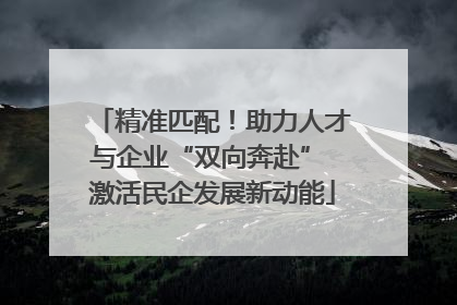精准匹配！助力人才与企业“双向奔赴” 激活民企发展新动能