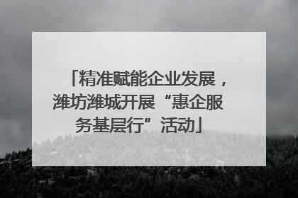 精准赋能企业发展，潍坊潍城开展“惠企服务基层行”活动