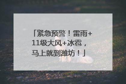 紧急预警！雷雨+11级大风+冰雹，马上就到潍坊！