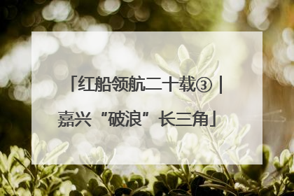红船领航二十载③｜嘉兴“破浪”长三角