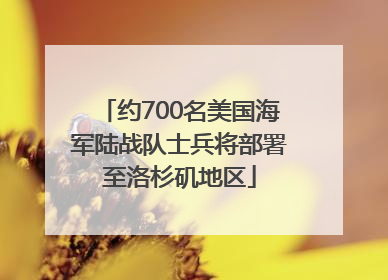约700名美国海军陆战队士兵将部署至洛杉矶地区