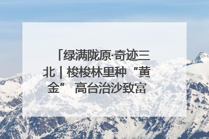 绿满陇原·奇迹三北｜梭梭林里种“黄金” 高台治沙致富很“从容”