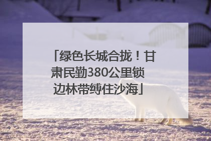 绿色长城合拢！甘肃民勤380公里锁边林带缚住沙海