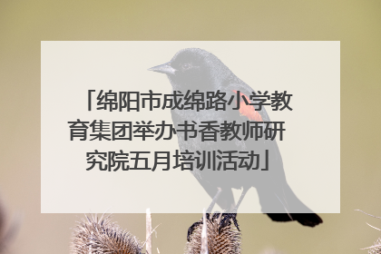 绵阳市成绵路小学教育集团举办书香教师研究院五月培训活动