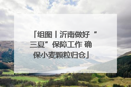 组图丨沂南做好“三夏”保障工作 确保小麦颗粒归仓