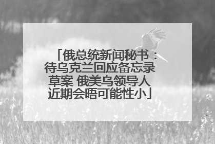 俄总统新闻秘书：待乌克兰回应备忘录草案 俄美乌领导人近期会晤可能性小