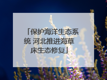 保护海洋生态系统 河北推进海草床生态修复