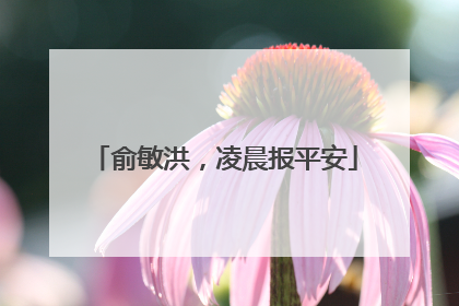 俞敏洪，凌晨报平安