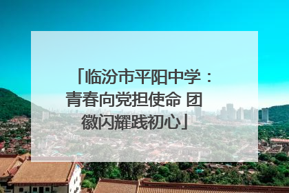 临汾市平阳中学：青春向党担使命 团徽闪耀践初心