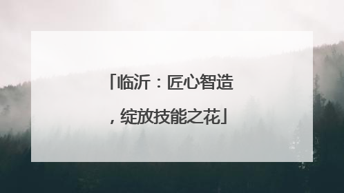 临沂：匠心智造，绽放技能之花