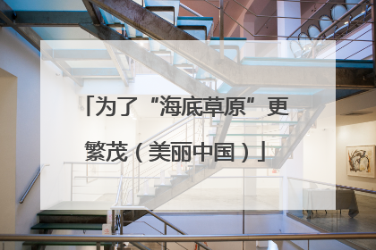 为了“海底草原”更繁茂（美丽中国）