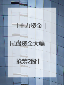 主力资金｜尾盘资金大幅抢筹2股