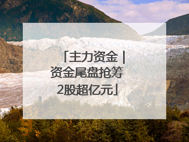 主力资金｜资金尾盘抢筹2股超亿元