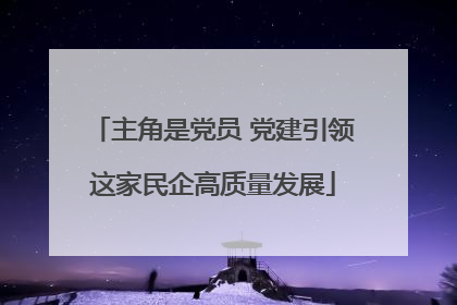 主角是党员 党建引领这家民企高质量发展