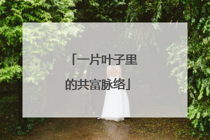 一片叶子里的共富脉络