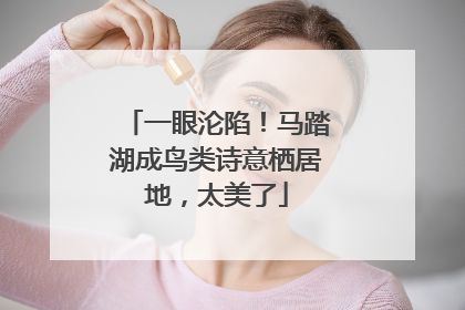 一眼沦陷！马踏湖成鸟类诗意栖居地，太美了