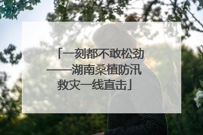 一刻都不敢松劲——湖南桑植防汛救灾一线直击