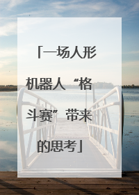 一场人形机器人“格斗赛”带来的思考