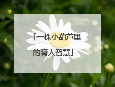 一株小葫芦里的育人智慧