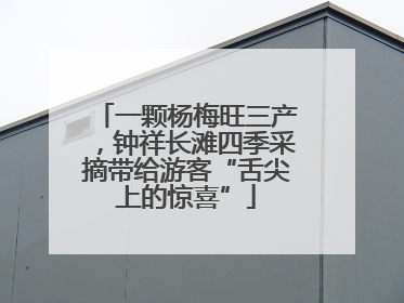 一颗杨梅旺三产，钟祥长滩四季采摘带给游客“舌尖上的惊喜”