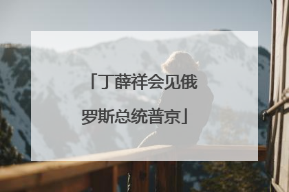 丁薛祥会见俄罗斯总统普京