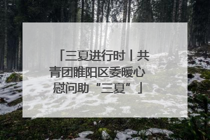 三夏进行时丨共青团睢阳区委暖心慰问助“三夏”