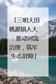 三明大田桃源镇人大：推动河流治理，筑牢生态屏障