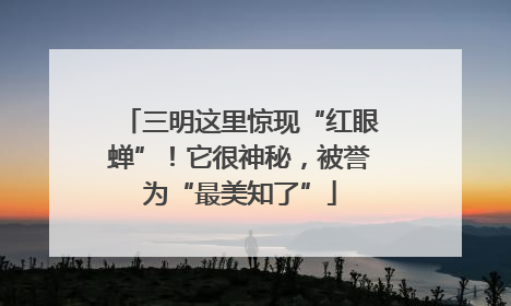 三明这里惊现“红眼蝉”！它很神秘，被誉为“最美知了”