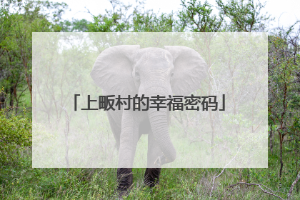 上畈村的幸福密码