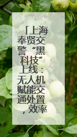 上海奉贤交警“黑科技”上线：无人机赋能交通处置，效率提升三倍！