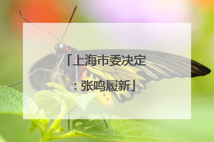 上海市委决定：张鸣履新