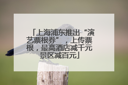 上海浦东推出“演艺票根券”，上传票根，最高酒店减千元景区减百元