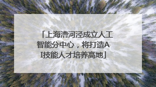 上海漕河泾成立人工智能分中心，将打造AI技能人才培养高地
