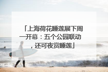 上海荷花睡莲展下周一开幕：五个公园联动，还可夜赏睡莲
