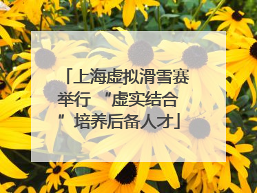 上海虚拟滑雪赛举行 “虚实结合”培养后备人才