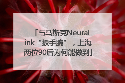 与马斯克Neuralink“扳手腕”，上海两位90后为何能做到