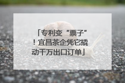 专利变“票子”！宜昌茶企凭它撬动千万出口订单