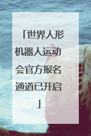 世界人形机器人运动会官方报名通道已开启
