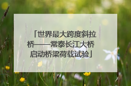 世界最大跨度斜拉桥——常泰长江大桥启动桥梁荷载试验